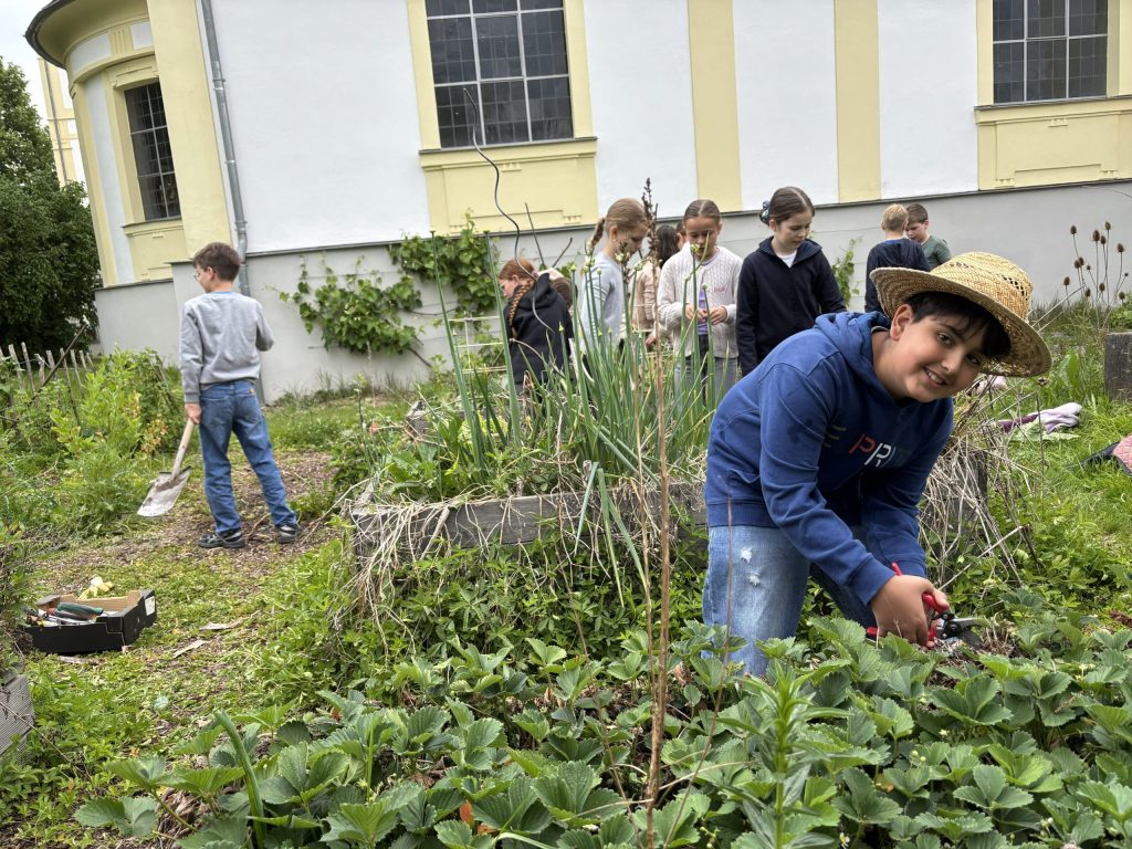 Schulgarten im Wandel: Nachhaltig lernen und gestalten